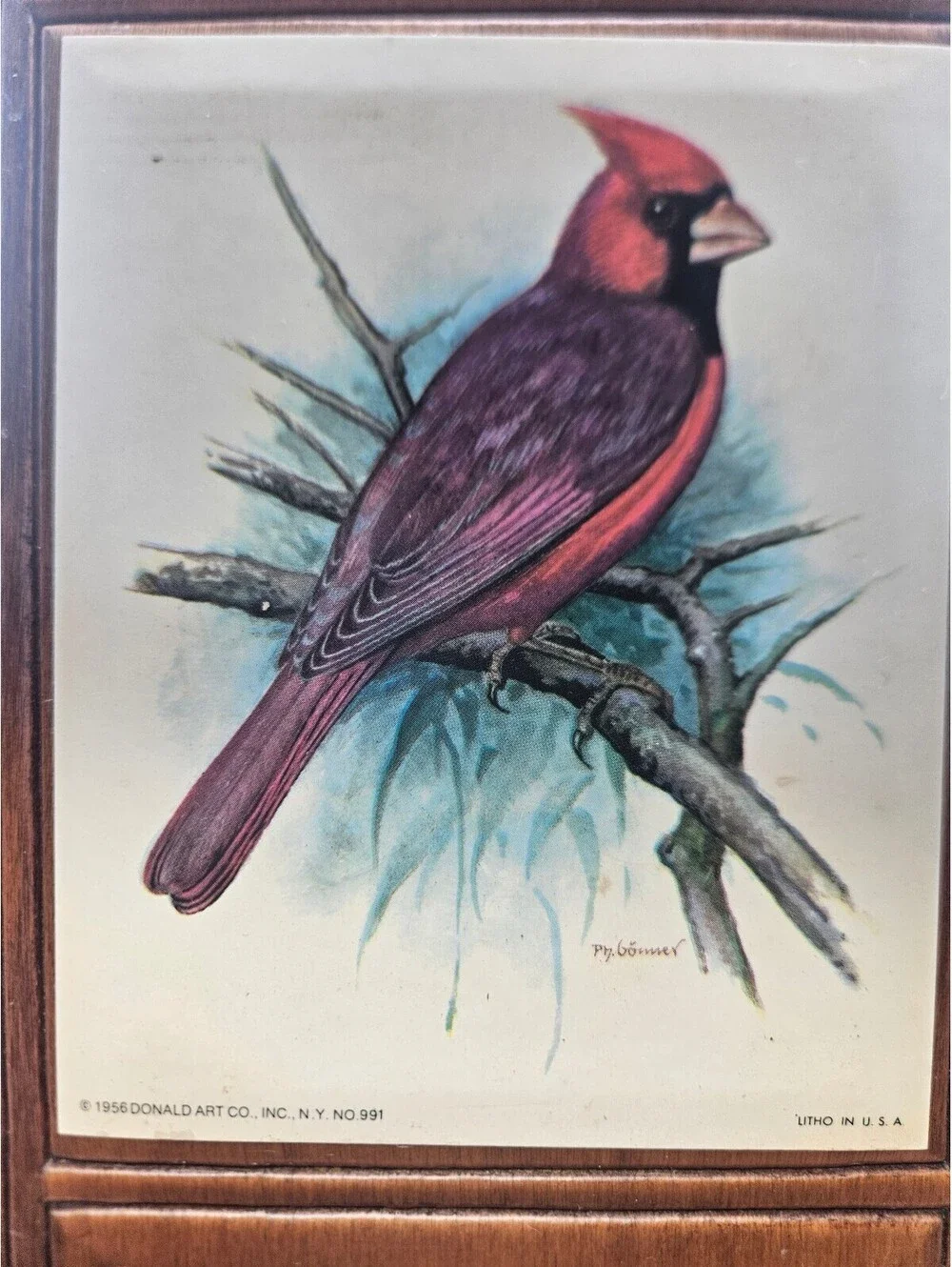 Vintage 1956 Ph. Gomner Cardinal Bird Wood Wall Hanging Memo Board Cork